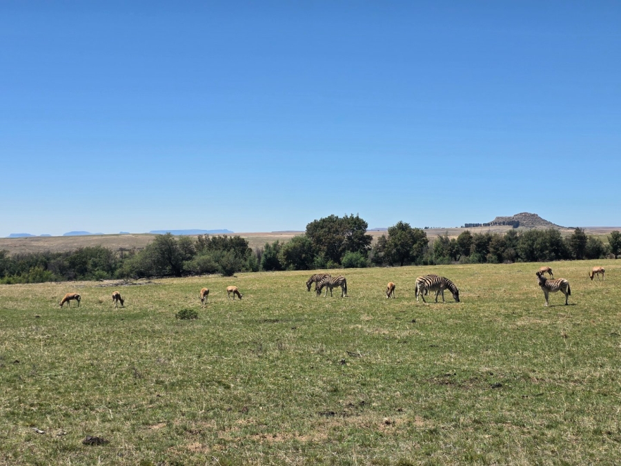 Commercial Property for Sale in Bethlehem Free State